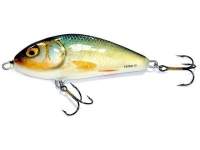 Воблер Salmo Fatso F10F RR Фотографія